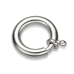 Zeige Produkte für Kategorie Federringe Bild für Kategorie Federringe