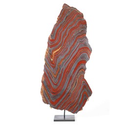 Vedere dettagli per Disco di ferro di tigre in mostra Immagine di Disco di ferro di tigre in mostra