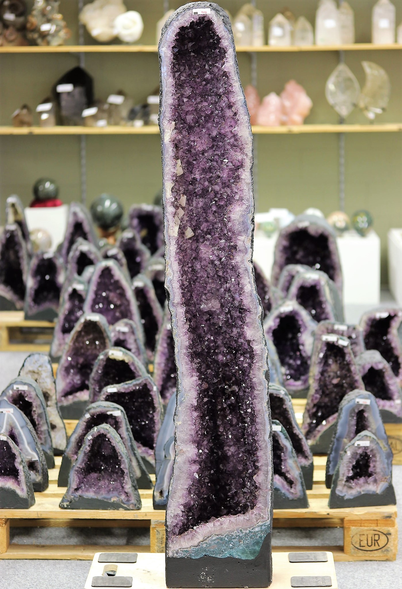 Immagine di Amethyst Druse, 137cm hoch (Brasilien) (2)