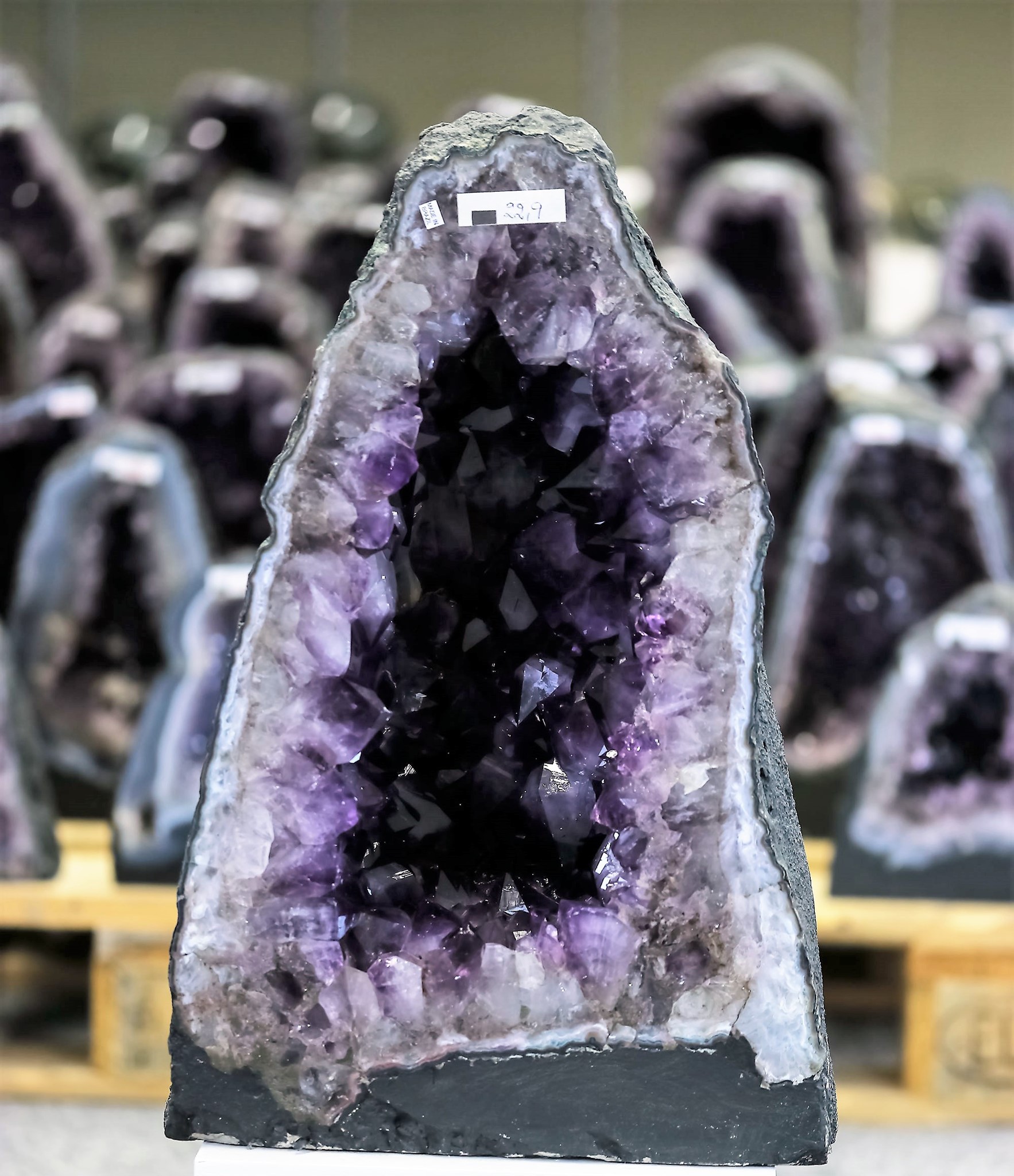Bild von Amethyst Druse, 40cm hoch (Brasilien) (10)