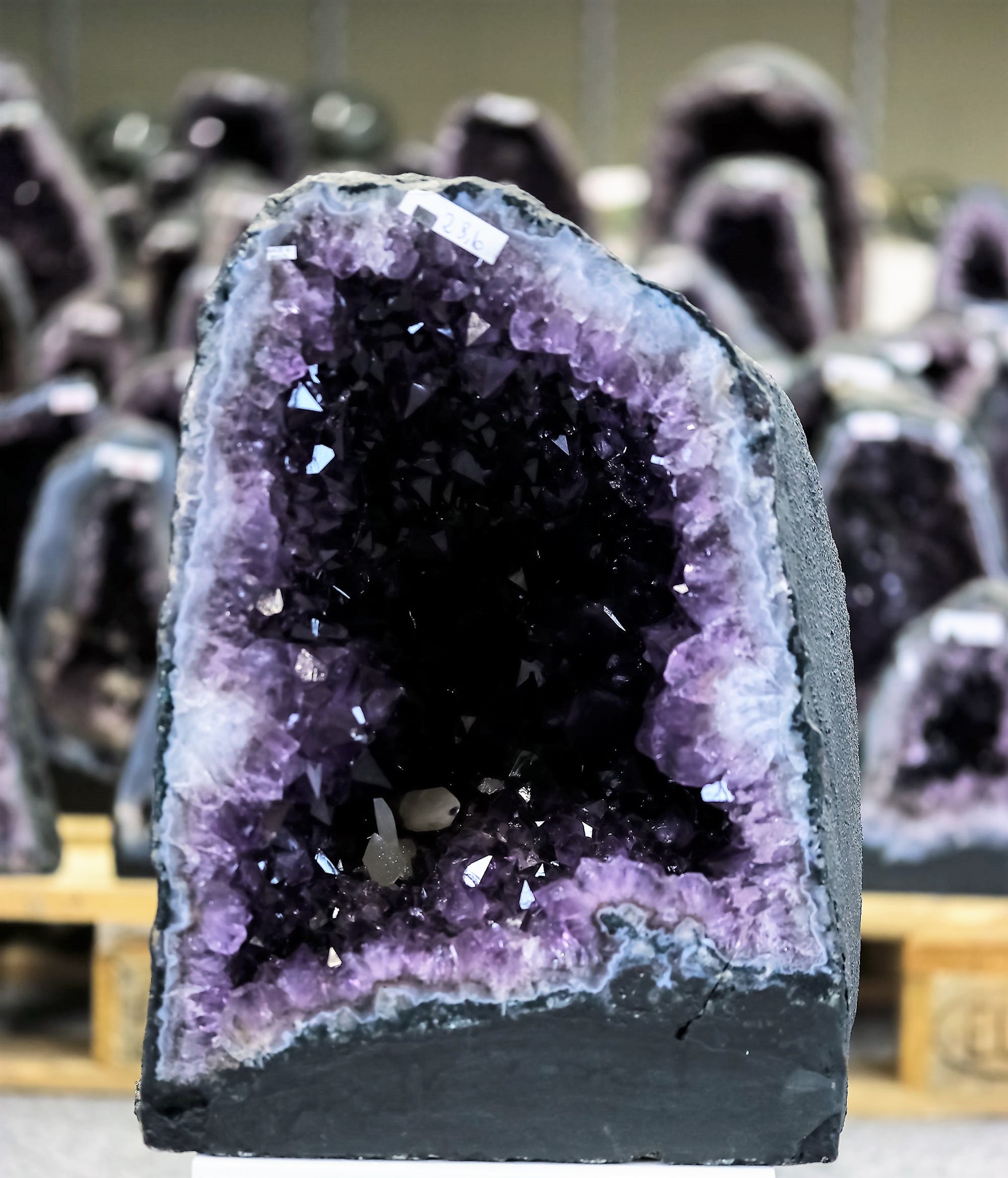 Bild von Amethyst Druse, 37cm hoch (Brasilien) (8)