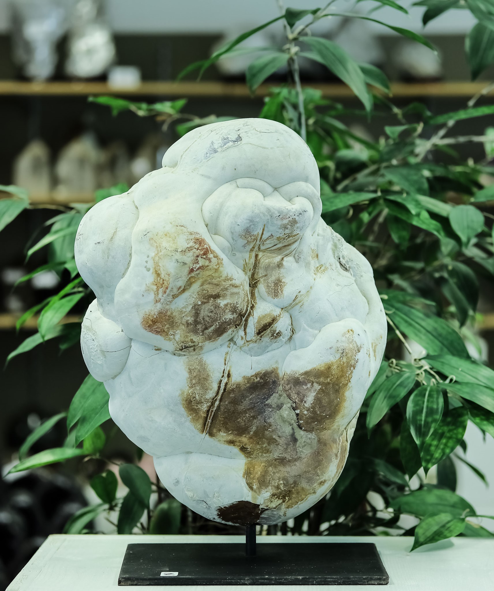 Bild von Menalit/Silex 23.9Kg., Marroko