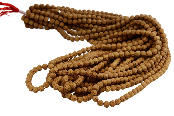 Bild von Rudraksha  10mm, 108 Beads Kette