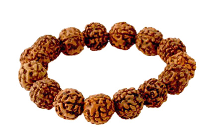 Bild für Kategorie Rudraksha Armband
