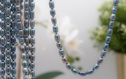 Bild von Süsswasser Perlen Barock 10.5x7.5mm Strang (grau) 