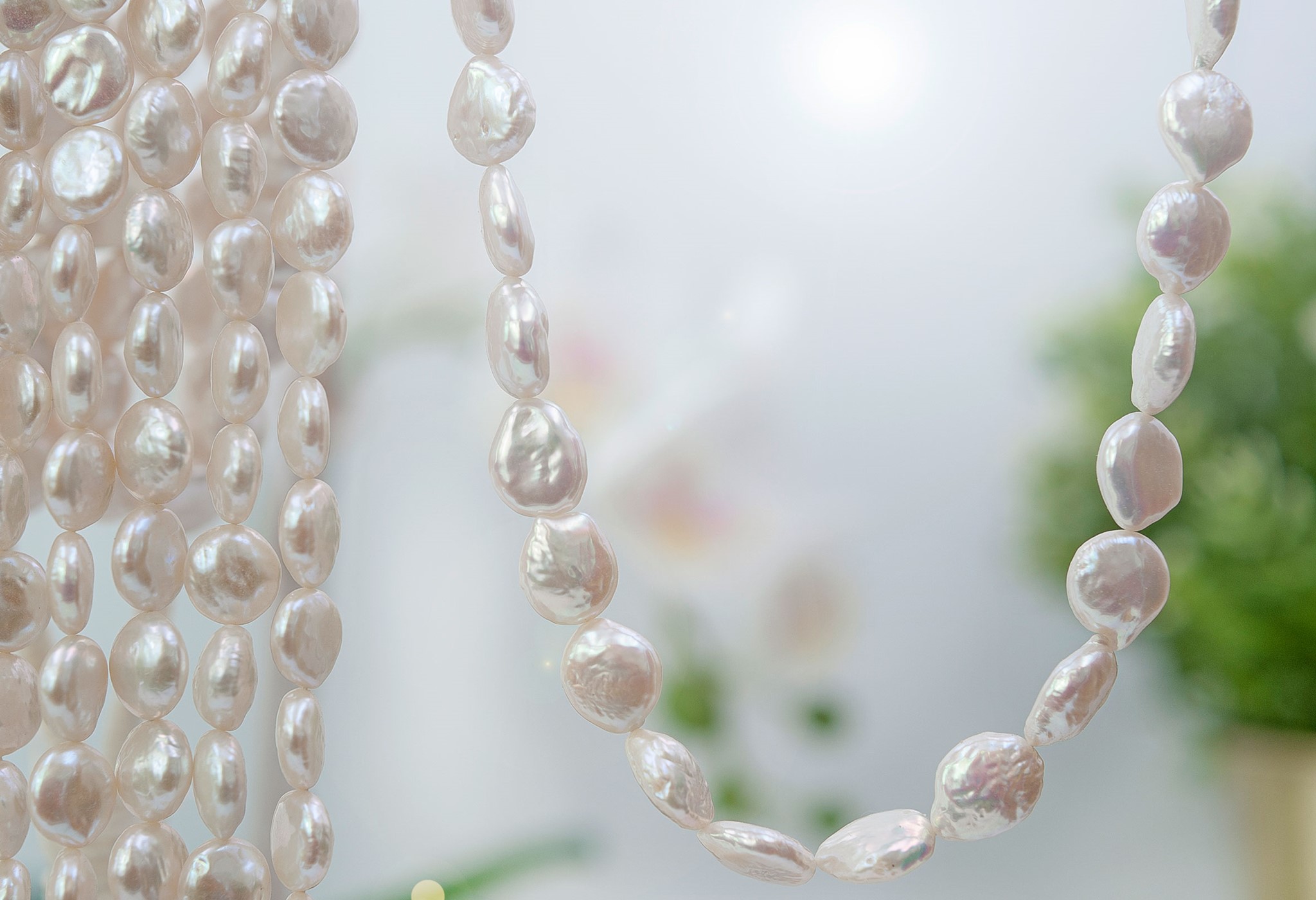 Süsswasser Perlen Disc 11mm Strang 