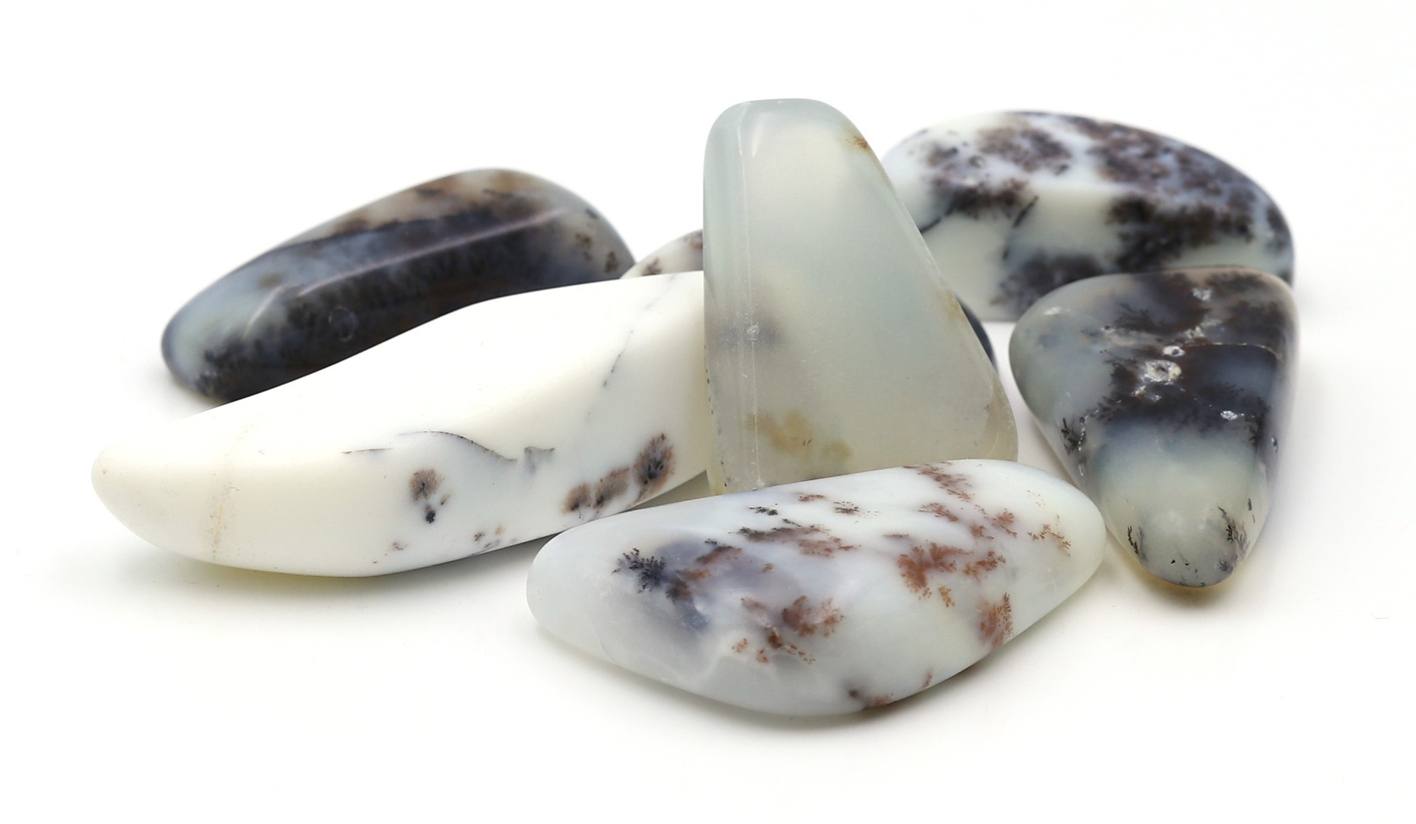 Bild von Weisser Opal (Dendr. Opal) Trommelsteine (VE: 250g)