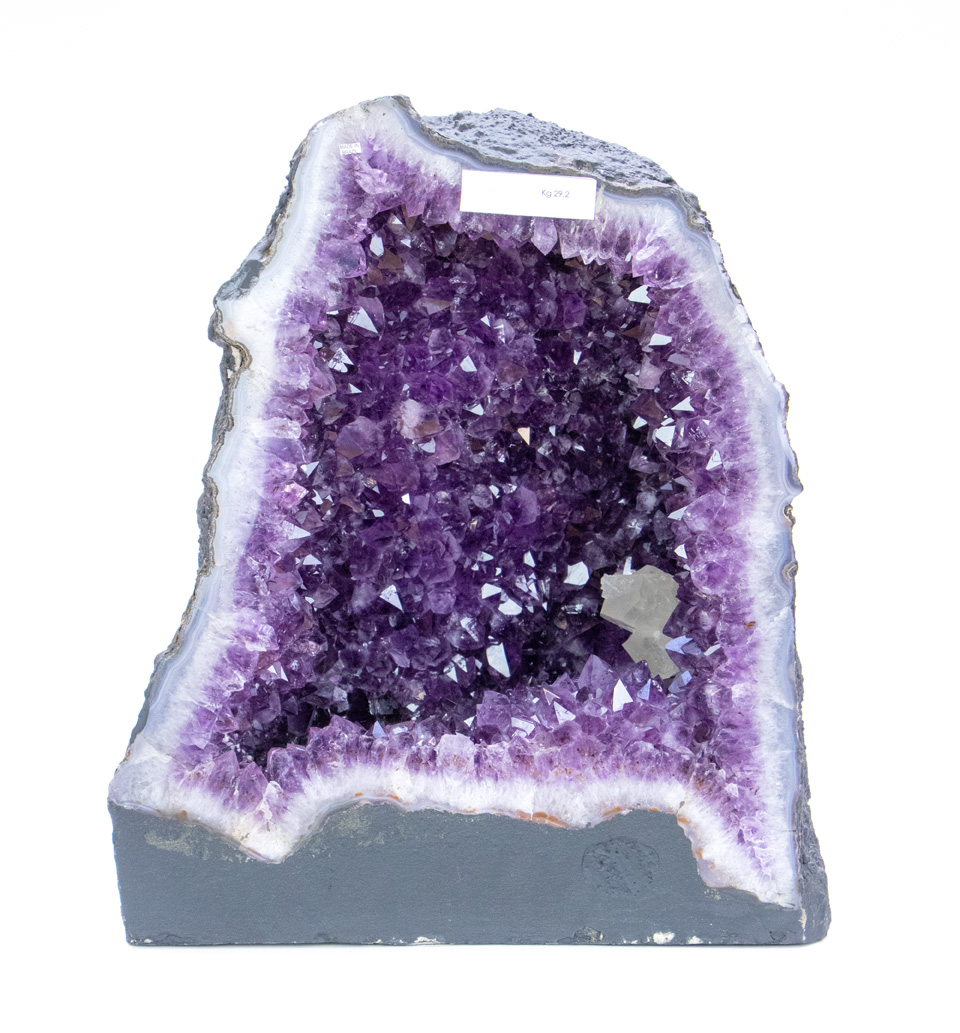 Bild von Amethyst Druse,  38cm hoch (Brasilien)