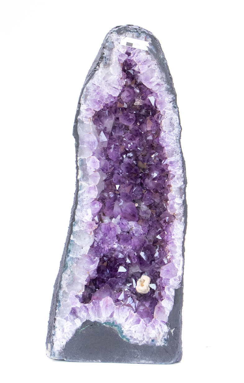 Bild von Amethyst Druse,  48cm hoch (Brasilien)