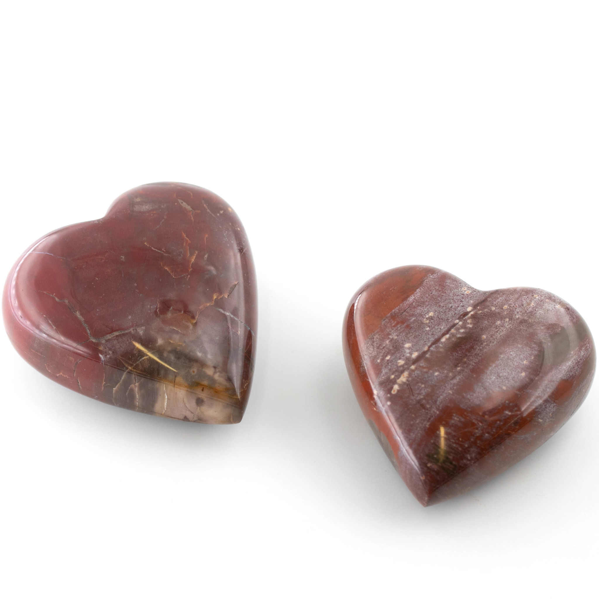 Bild von Versteinertes Holz "Love-Hearts" Madagaskar