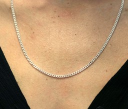Immagine di Silber Curb 2.5mm Halskette, Silber