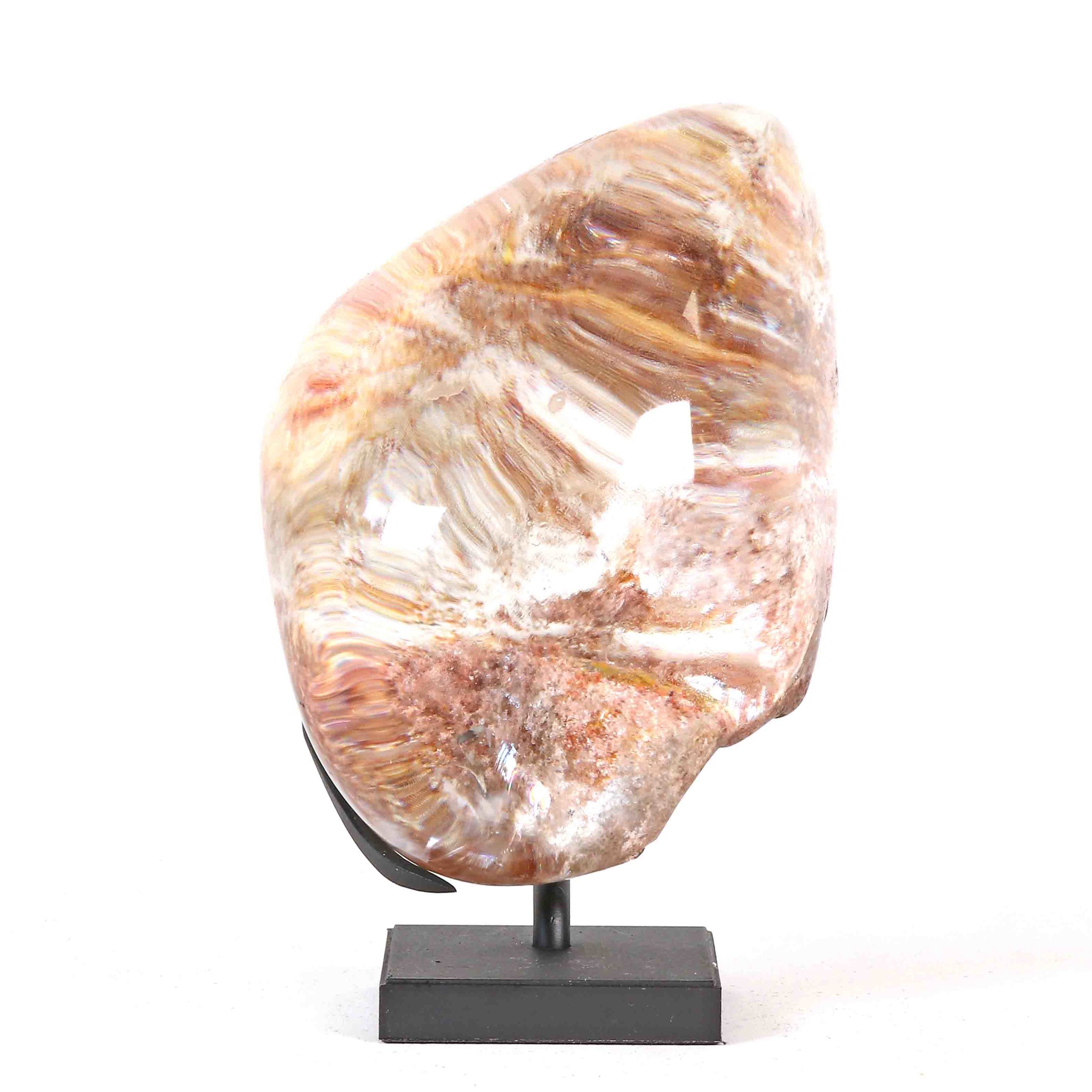 Immagine di Cristallo di rocca con inclusioni (Clorite) in esposizione