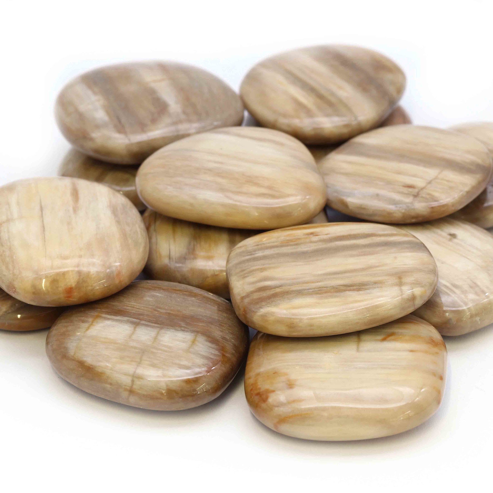 Bild von Versteinertes Holz Handschmeichler (VE: 250g)