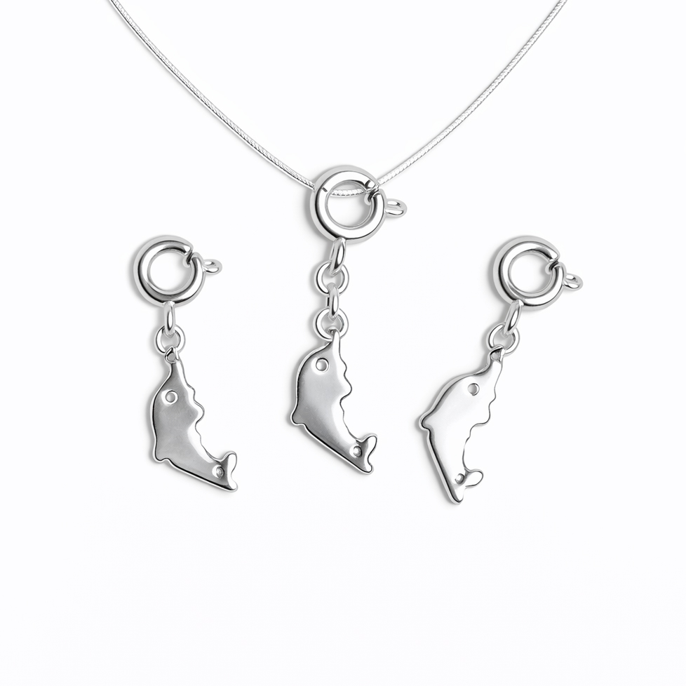 Bild von Delphin 14.5mm mit Federring, Silber 925 Charm