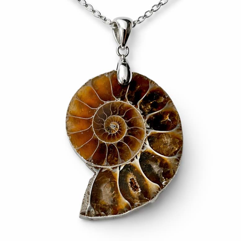 Ammonit ab 25mm Anhänger mit Silber 925 Bügel