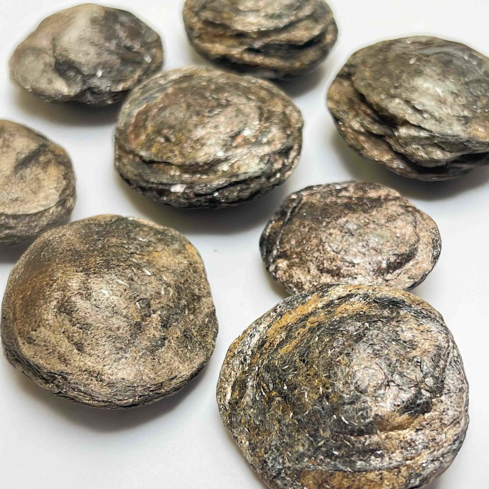 Biotit Linsen, Portugal