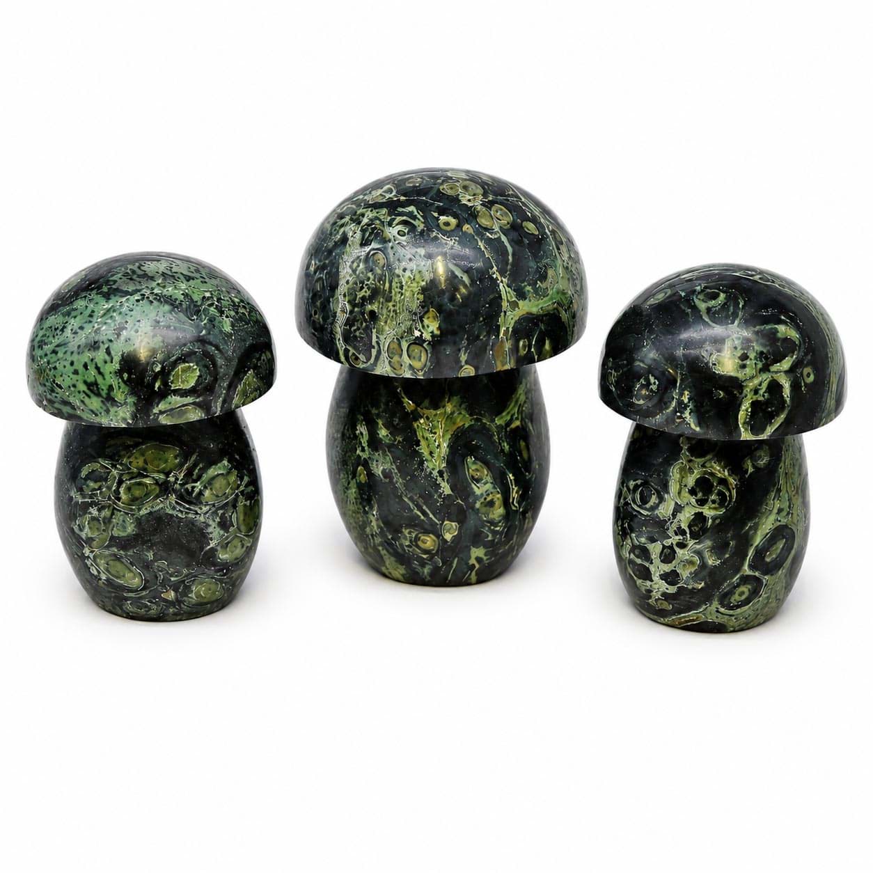 Kambaba Pilze (Set à 3 Stk.)