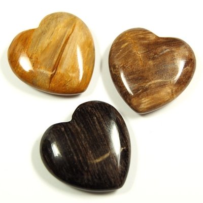 Image de Versteinertes Holz Herz 30x14mm